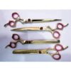 Professional 4 Pieces Dog/Pet Grooming Shears Gold Color